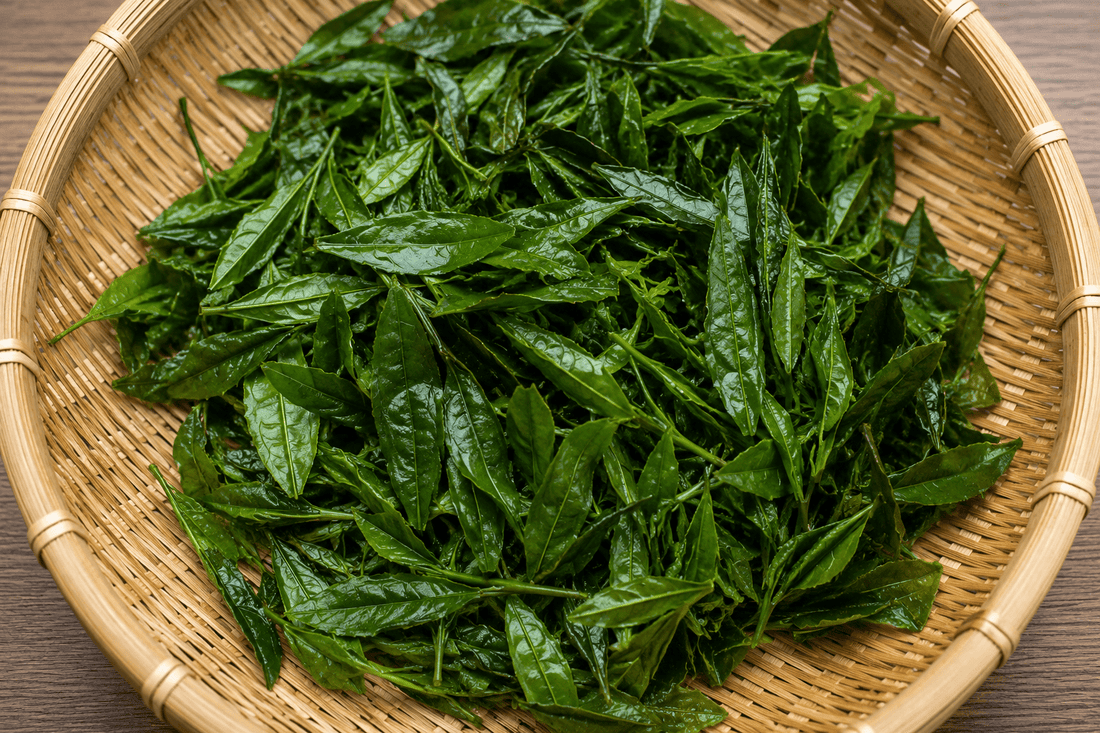 What Is Matcha Made Out Of?