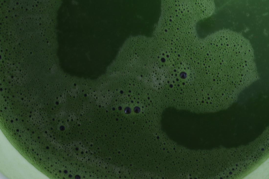 Do I Mix Matcha With Milk or Water?