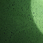 Miyazaki Tokiwa Matcha - Ceremonial Grade