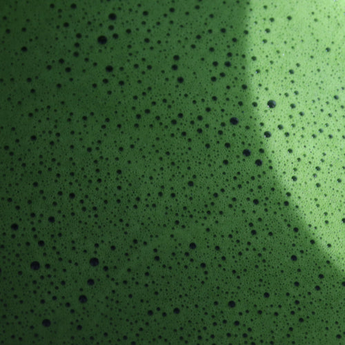 Miyazaki Tokiwa Matcha - Ceremonial Grade